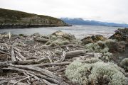 Foto: Tierra del Fuego. Gateway to the Icy Continent